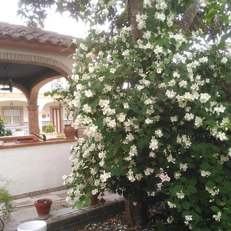 Vivienda Turistica Rural Mari Carmen Villa Baeza Luaran gambar