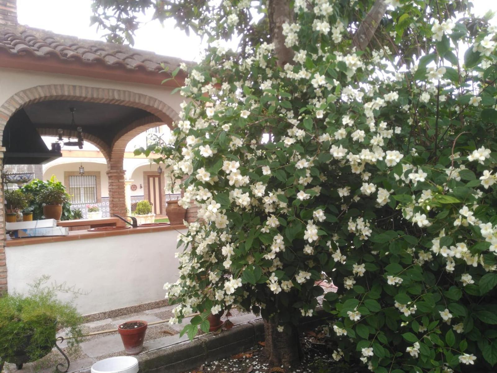Vivienda Turistica Rural Mari Carmen Villa Baeza Luaran gambar