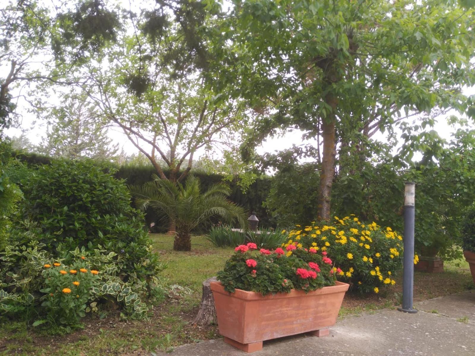 Vivienda Turistica Rural Mari Carmen Villa Baeza Luaran gambar